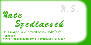 mate szedlacsek business card